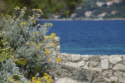 Korcula's Secret Apartments & Rooms