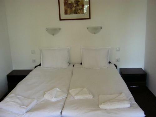 Motel Koziyat Rog