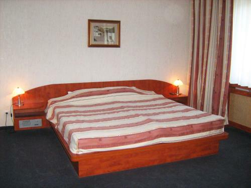 Hotel Pravets Palace