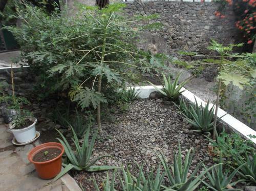 Bed & Breakfast Misurino