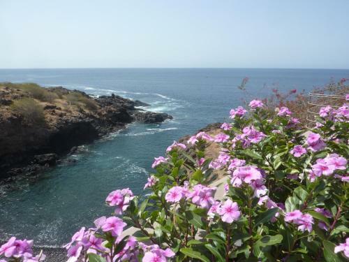 Villa Halcyon Caboverde