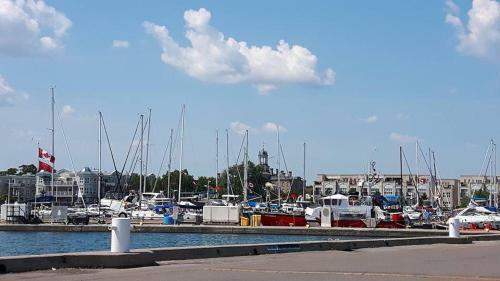 Twin Maples Bed And Breakfast