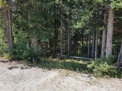 Edson Rv Park & Campground