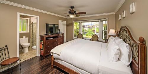 Bed & Breakfast E'laysa Guesthouse And Vineyard Retreat