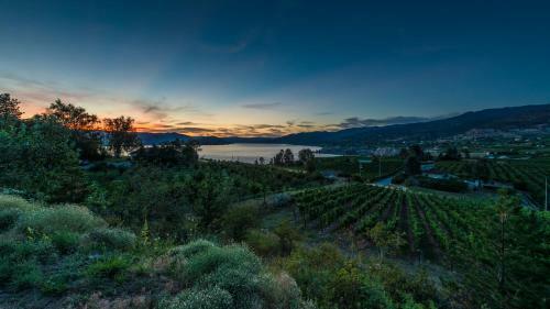 Bed & Breakfast E'laysa Guesthouse And Vineyard Retreat