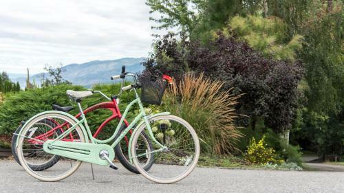 Bed & Breakfast E'laysa Guesthouse And Vineyard Retreat