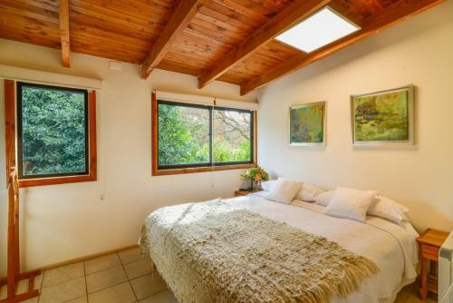 Albergue Hola Pucon