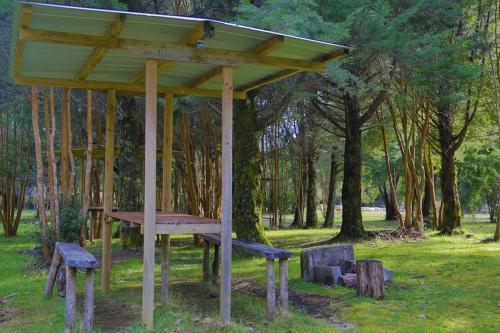 Bosque Patagonico