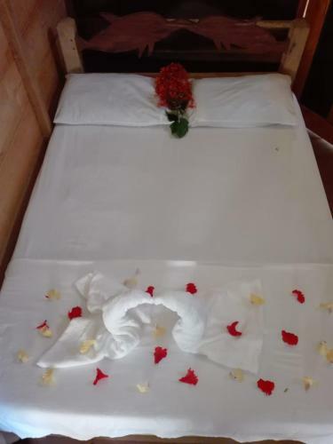 Lodge Caba�a Los Termales