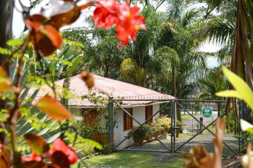 Hotel Caba�as Las Bifloras
