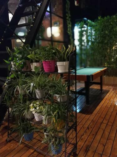 Posada Wutongli Youth Hostel