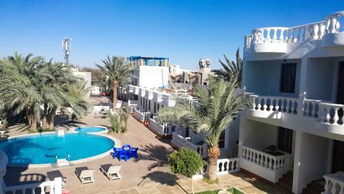 Octopus Hotel