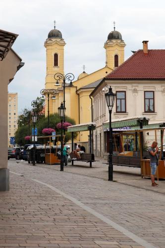 Apartm�n Moyzesova