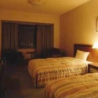 Ana Gate Tower Hotel Osaka