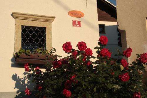 Hostal Apartments Maria