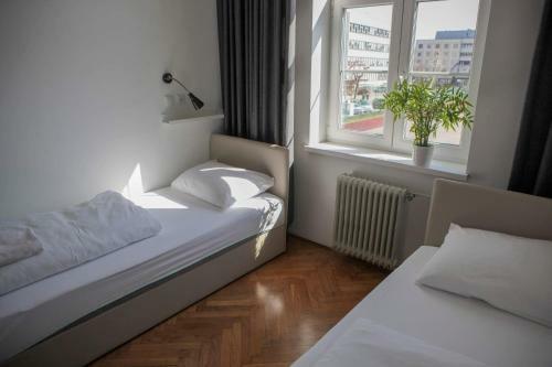 C - Punkt Hostel