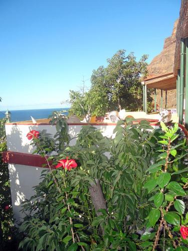 Apartamentos Dom�nguez