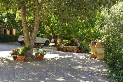 Agroturismo Casa Rural Arroyo Rechita