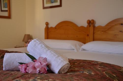 Apartamentos Surest