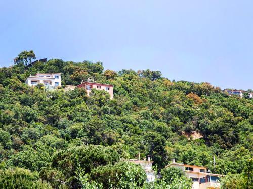 Casa Amalia