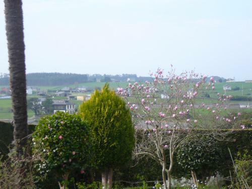 Hotel El Pinar