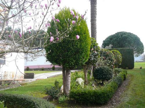 Hotel El Pinar
