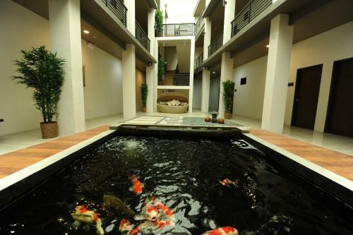 Albergue Urban Living Zen Hotel
