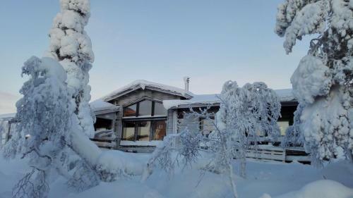 Villas Karhunpes�