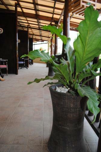 Posada Captain's Lodge And Bar