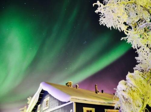 Saarisel�n Marjamajat