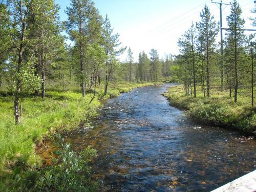 Saarisel�n Marjamajat