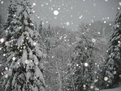 Chalet Monts Jura