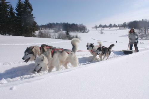 Chalet Monts Jura