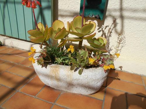 Bed & Breakfast C�t�-vignes Chambre D'h�tes