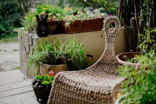 Bed & Breakfast C�t�-vignes Chambre D'h�tes