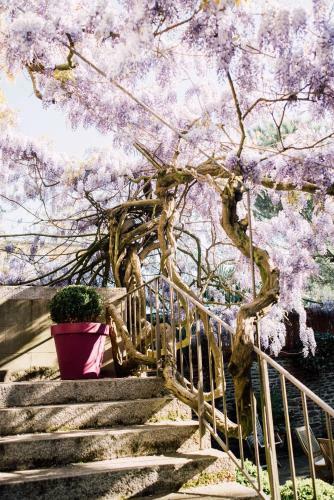Bed & Breakfast Castel Jolly