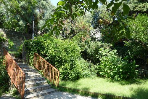 Hotel Cyrnea
