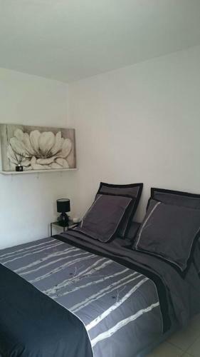 Apartamento Corte Studios Restonica