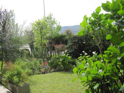 Apartamento Con Jard�n