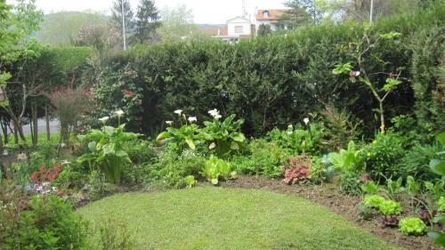 Apartamento Con Jard�n