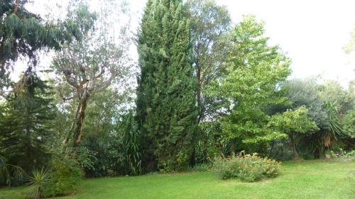 Apartamento Plein Soleil