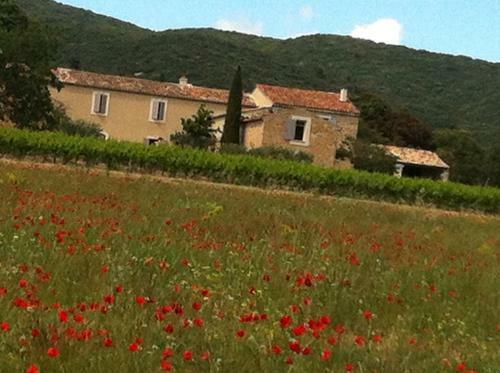 Bed & Breakfast Mas La Rivayne