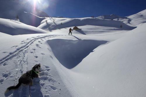Bed & Breakfast Le Chalet Viso
