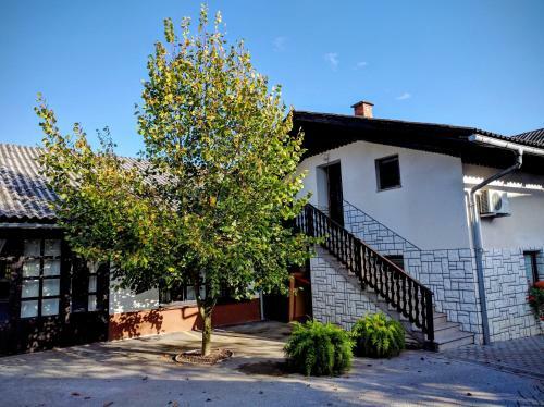Hostal Apartments Tome