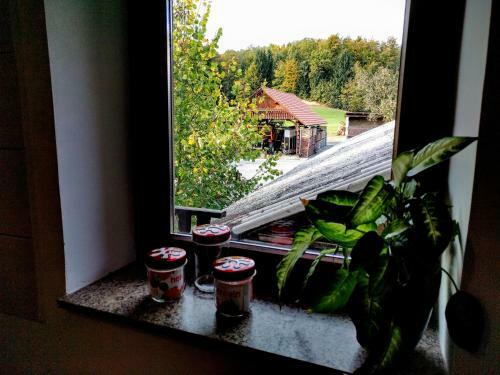 Hostal Apartments Tome