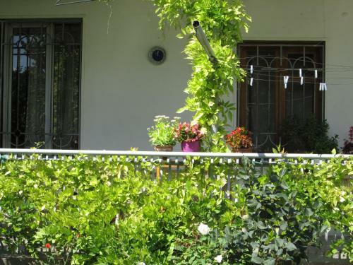 Hostal Lucky House