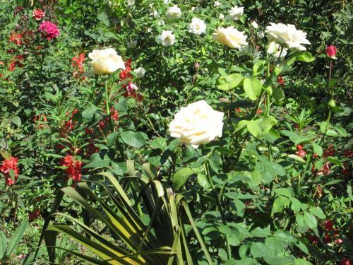 Hostal Lucky House