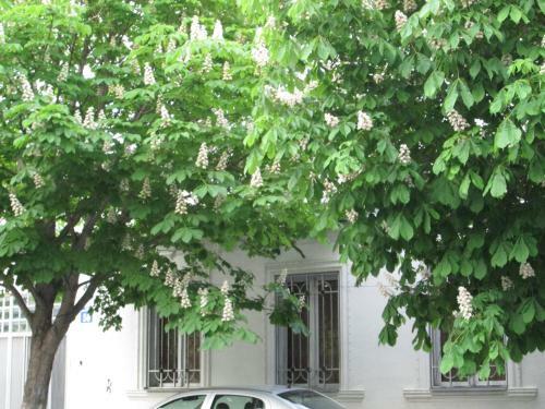 Hostal Lucky House