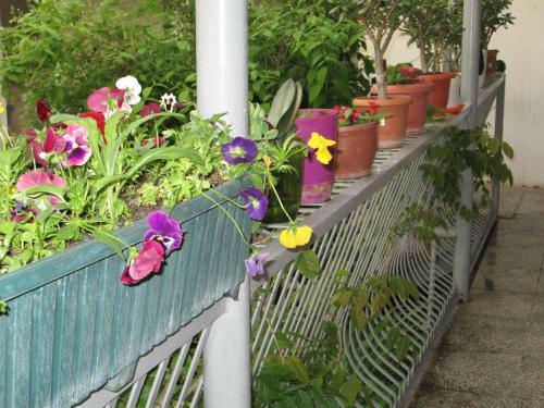 Hostal Lucky House