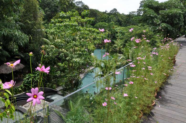 Hotel Siloso Beach Resort